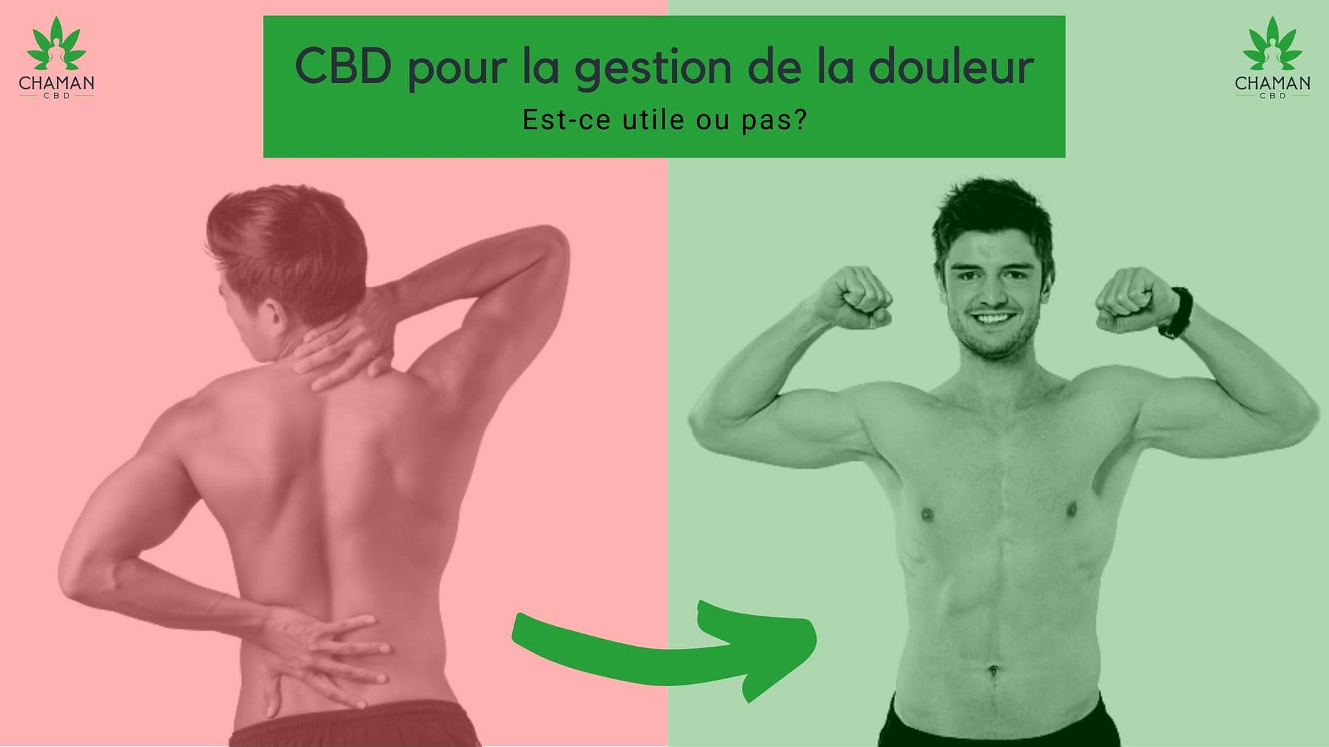 CBD pour la gestion de la douleur | Est-ce utile ou pas?
