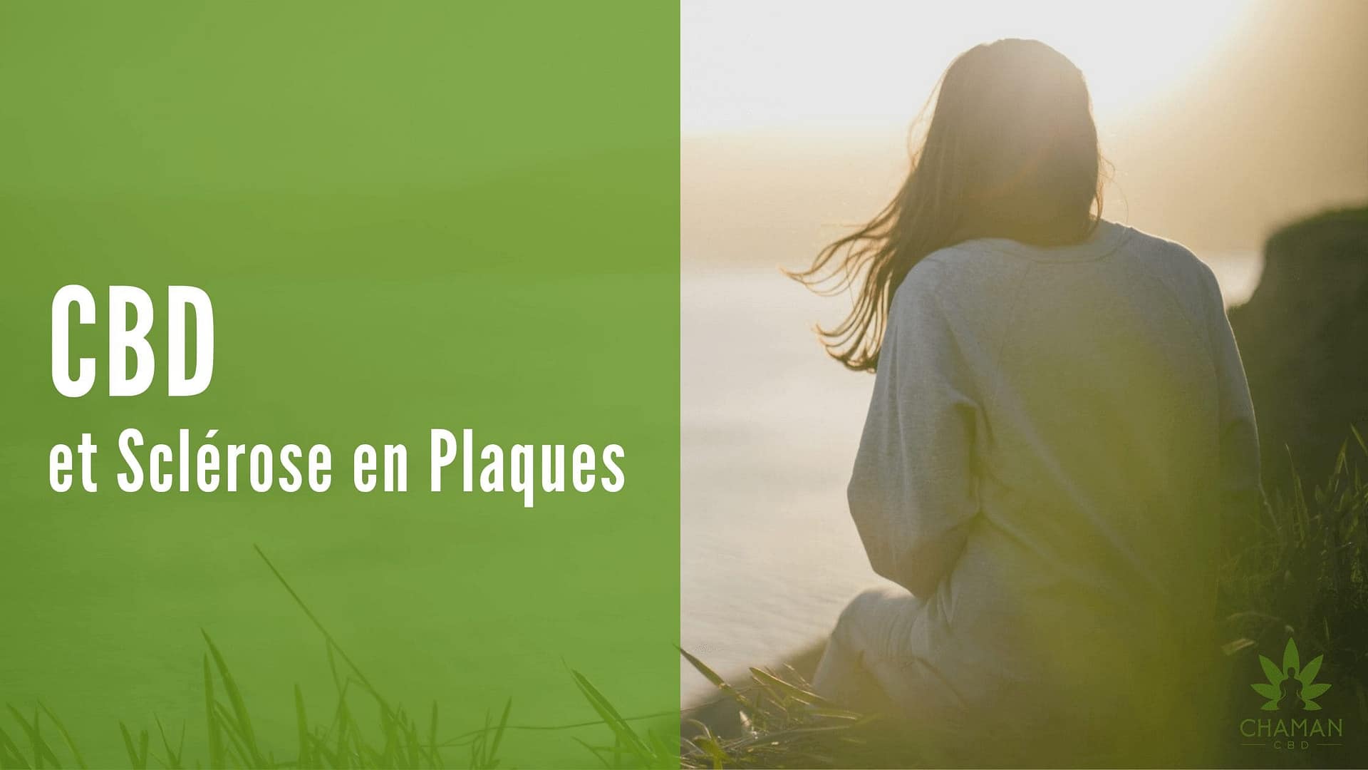CBD et sclérose en plaques (SEP)