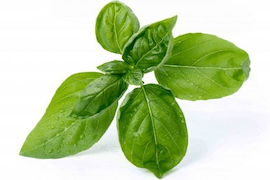 Recettes de sauces au CBD