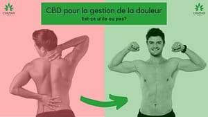 CBD pour la gestion de la douleur | Est-ce utile ou pas?