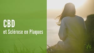CBD et sclérose en plaques (SEP)