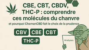 Cannabinoides rares : CBE CBT CBDV THC-P