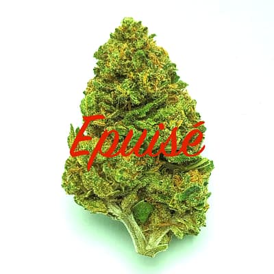 Clémentine Kush