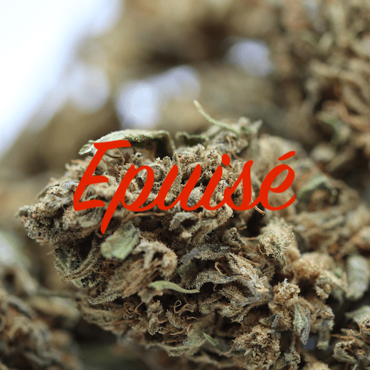 Federal Reserve Cannatonic