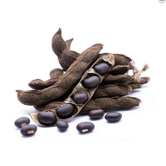 Mucuna Pruriens à infuser
