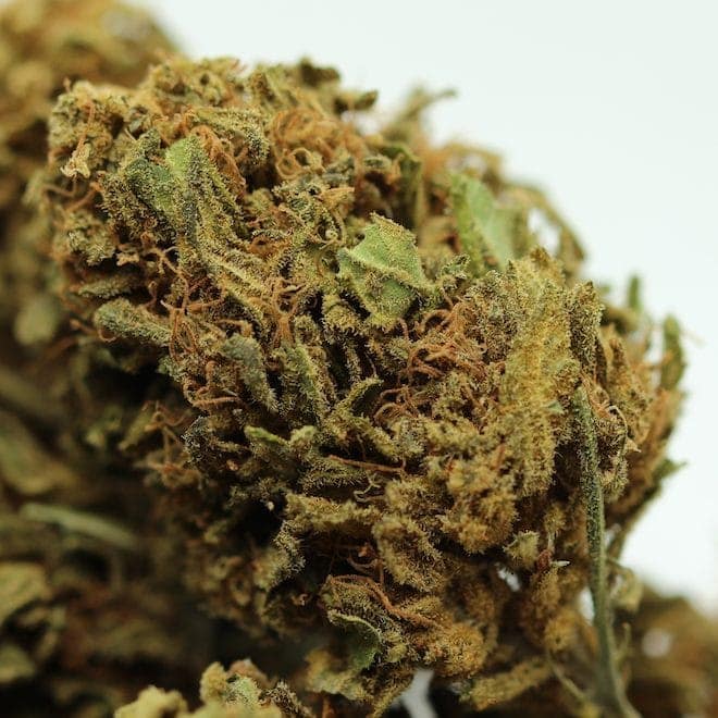 Federal Reserve Cannatonic