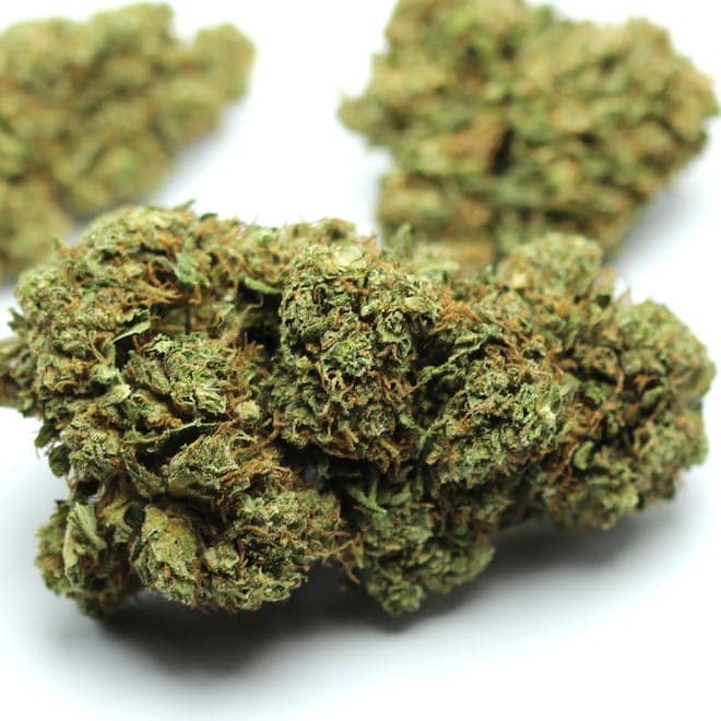 Cadeau de reouverture