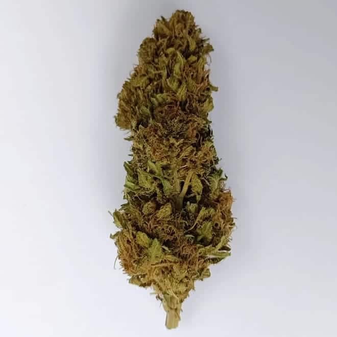 Amnésia Haze CBDauthentique