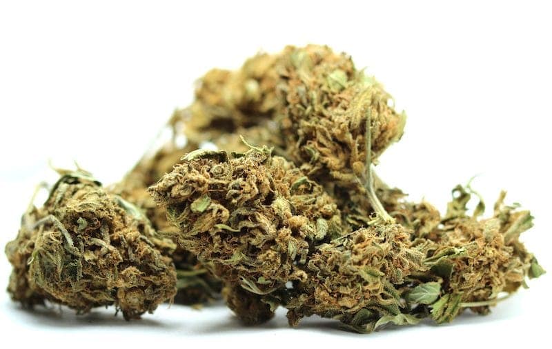 Federal Reserve Cannatonic petit tas