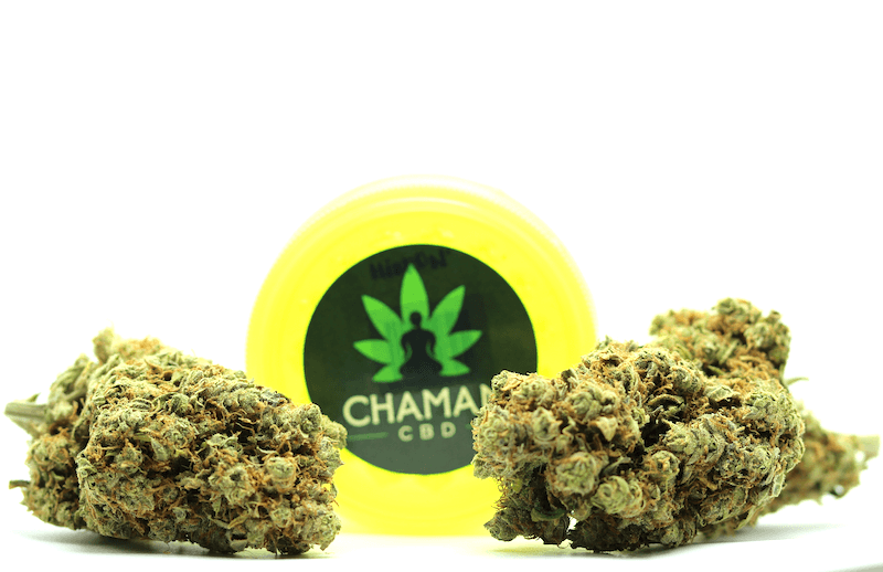 Grosses têtes de CBD : l'Amnésia Indoor de Chaman