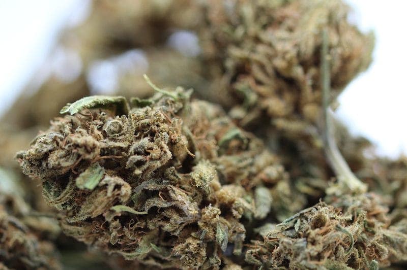 Federal Reserve Cannatonic CBD