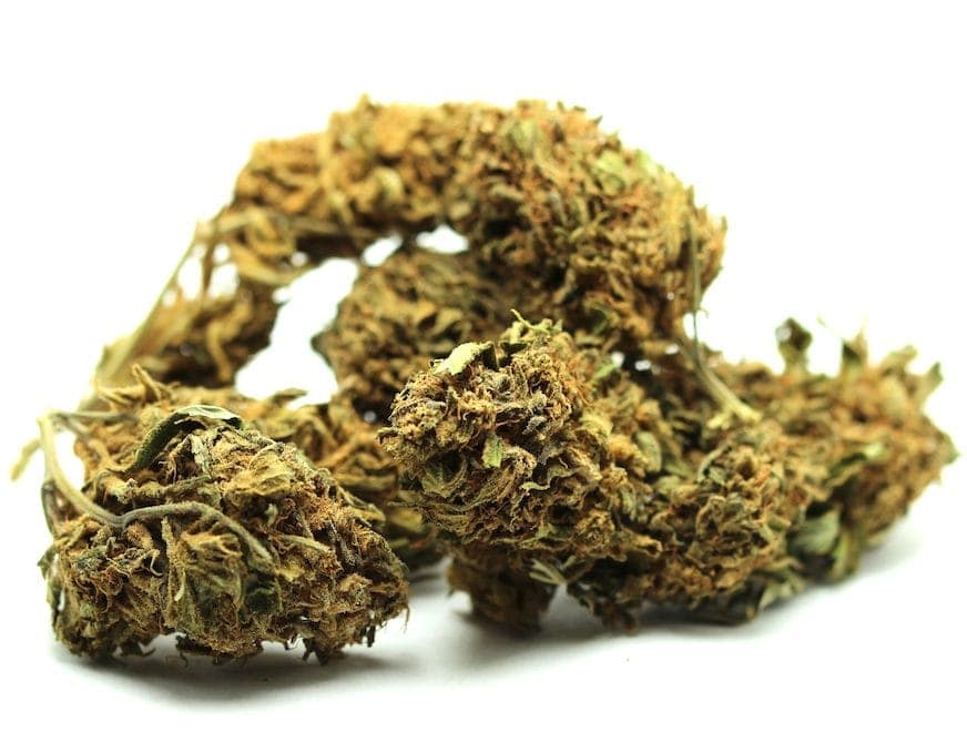 Federal Reserve Cannatonic tas